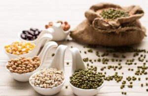 A variety of legumes are part of the nutrition in handball