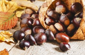Chestnut Recipes