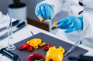 Genetically Modified Food: Pros and Cons