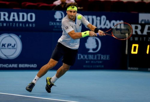 David Ferrer hitting a tennis backhand