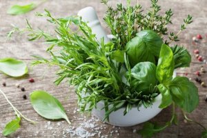 The Health Benefits of Tarragon