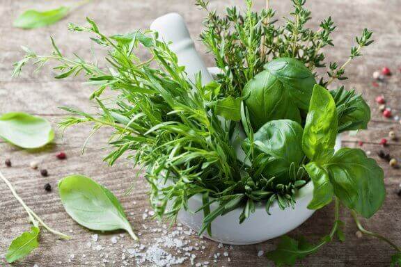 The Health Benefits of Tarragon - Fit People