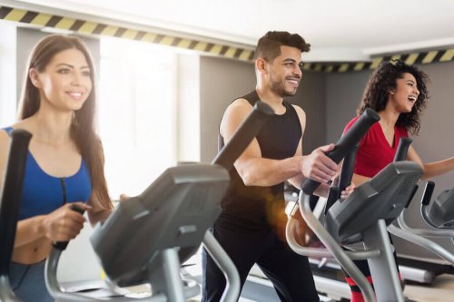 group on treadmill