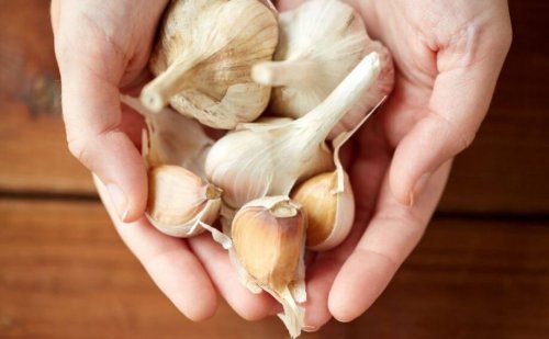 Onions contain high levels of quercetin.