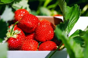 The 16 Best Aphrodisiac Foods to Increase Pleasure
