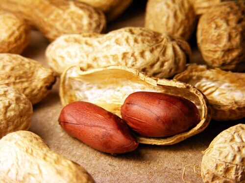 Peanuts in shells