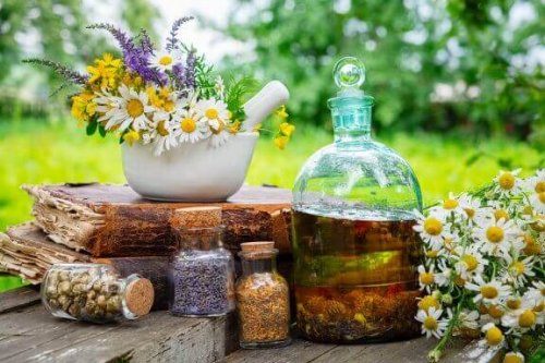 8 Wonderful Reasons to Drink Chamomile Tea