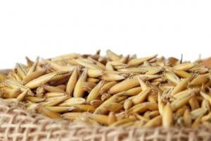 The Benefits of Avena Sativa for Our Bodies