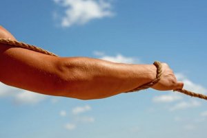Muscular and Neurological Factors for Strength