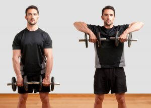 How to Perform the Vertical Dumbbell Row Perfectly