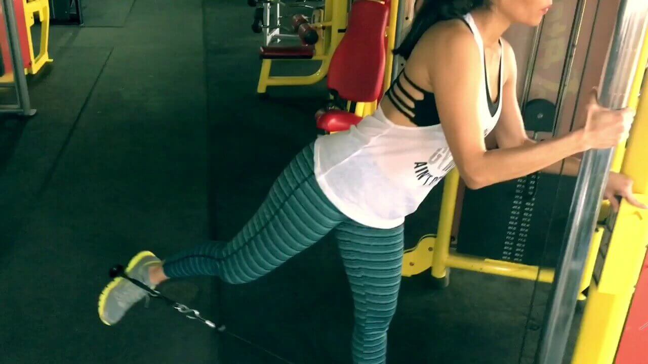 donkey kicks cable weight machine