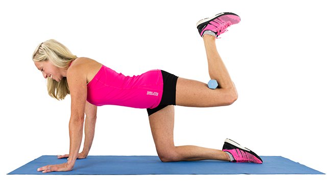 donkey kicks circles