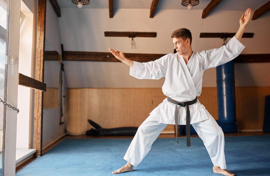 Shidokan martial arts