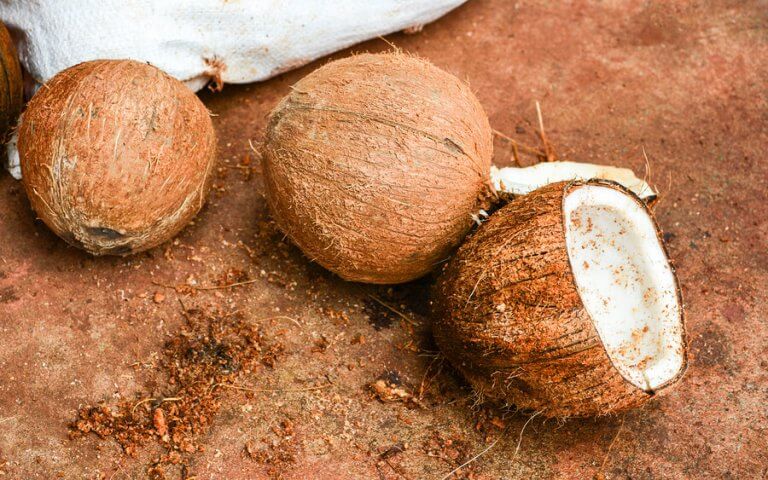 Benefits of Coconuts for our Health