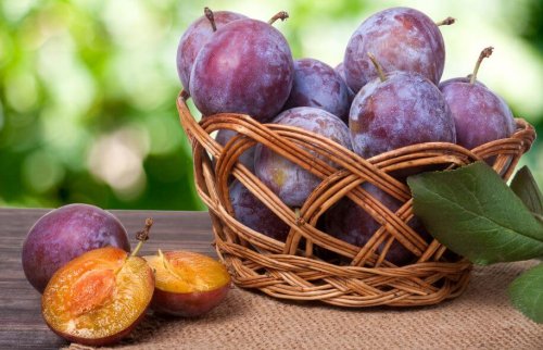 Copper is needed in an athlete's diet.