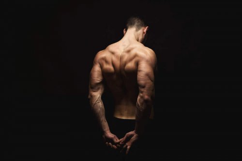 Trapezoids: Exercises to Strengthen and Stretch