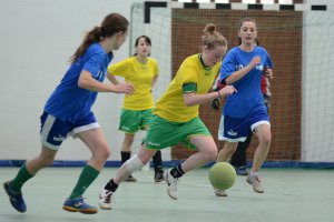 What is the Spanish University Sports Committee?