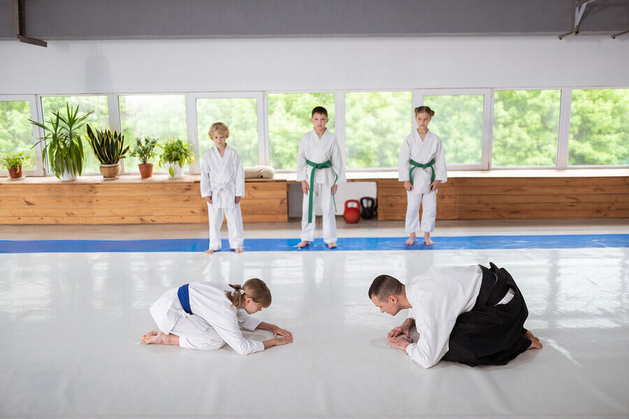 Aikido Japanese martial arts