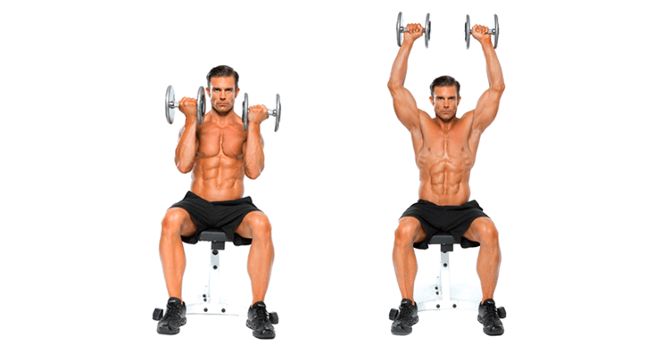 exercises shoulders arnold