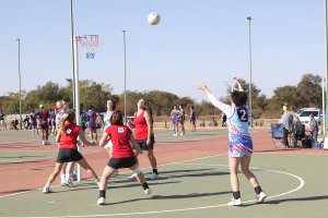 Alternative Sports: Everything you Need to Know