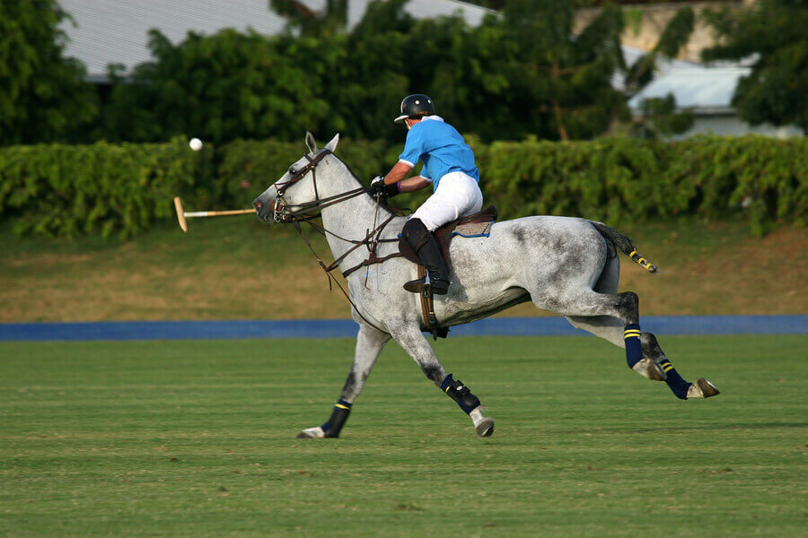 Polo is one of the oldest sports in the world.