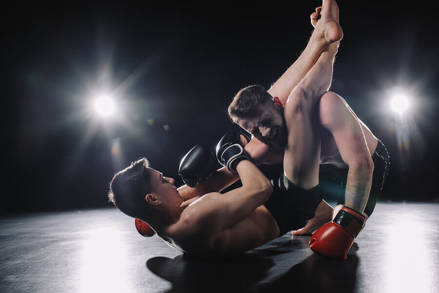 What are Mixed Martial Arts?