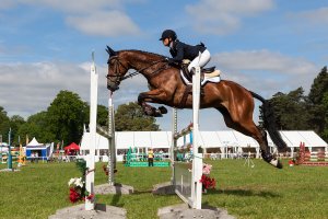 Six Amazing Equestrian Sports