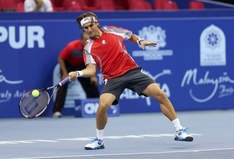 David Fererer on the courts as described in the text.