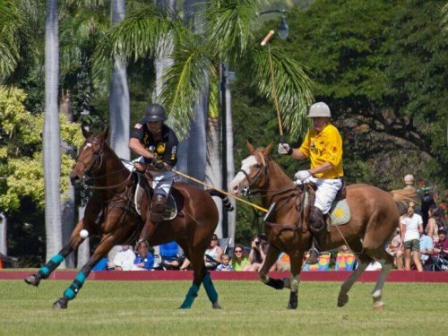Two polo players engaging in a game as described in the text