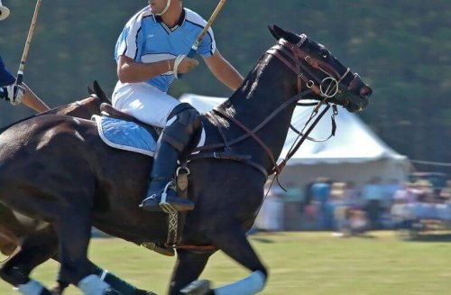 A man on a horse playing polo and described in the text