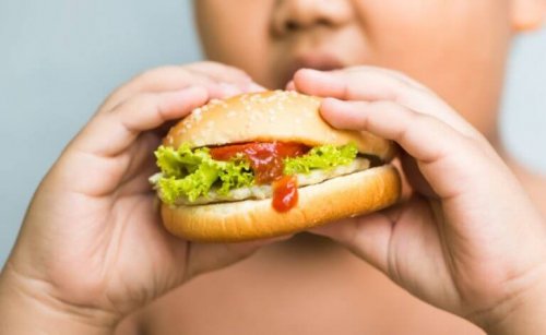 A child eating a huge sandwich to support text about obesity, a form of orthorexia.