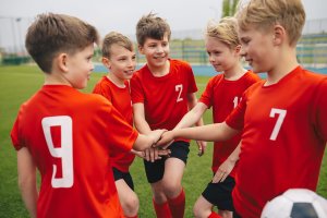 Regulations for Sports Schools