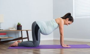 A pregnant woman exercising.