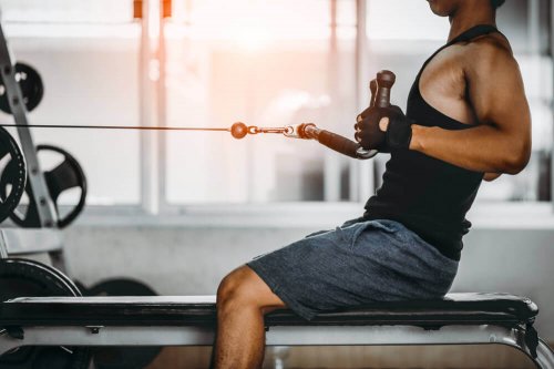 Seated or Horizontal Row on Low Pulley Machine - Fit People