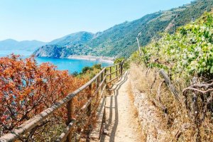 The 7 Best Hiking Trails in the World