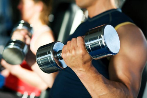 If I want to burn fat, should I do cardio or weights to get bigger biceps