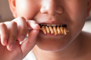 A boy eating insects.