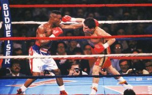 Chavez vs Taylor.