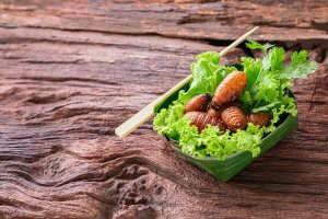 Insect Protein: An Alternative to Animal Protein?
