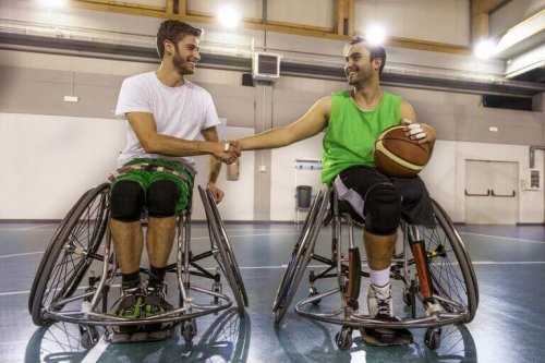 The Spanish Paralympic Committee: an Overview