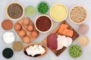 Sources of plant and animal protein.