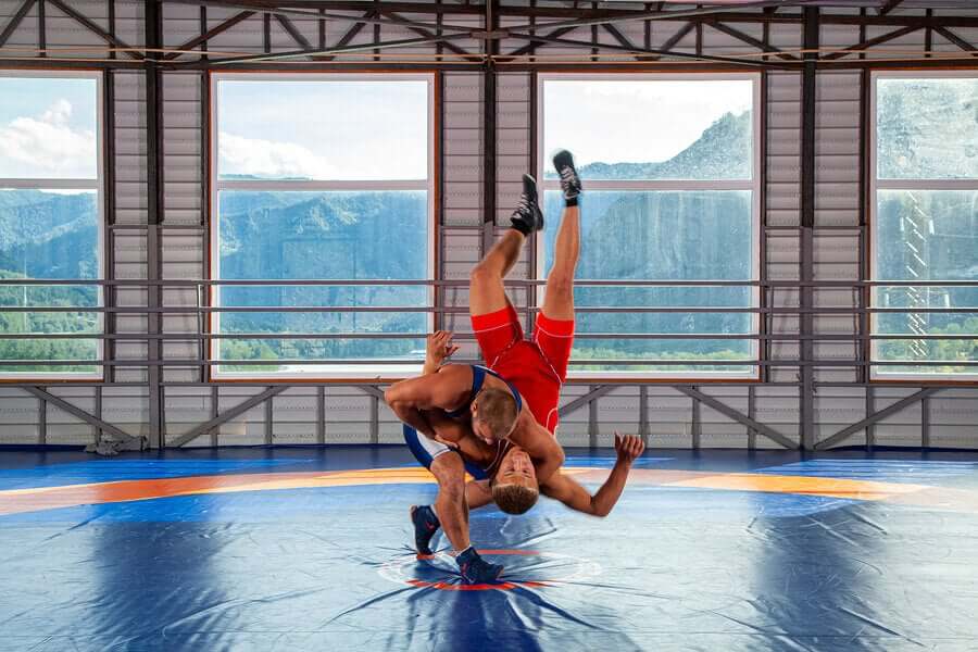 Rules of Olympic Wrestling Fit People