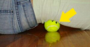 A tennis ball can be a great way to relieve back pain.