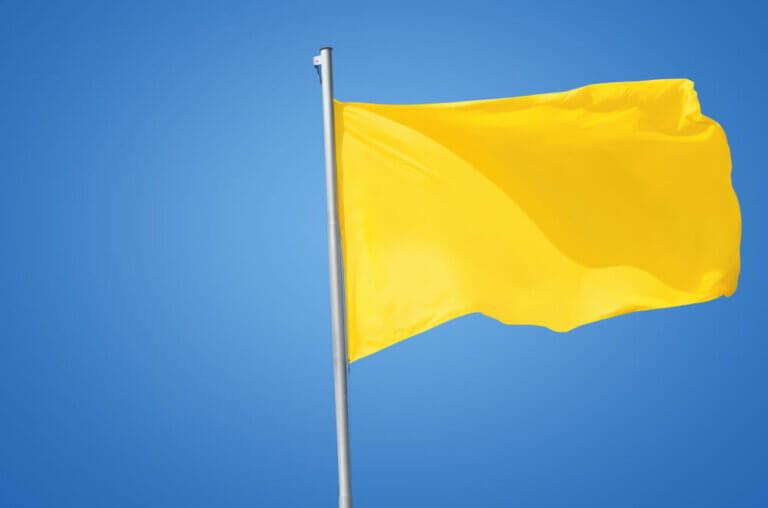 What is The Flag System? Fit People