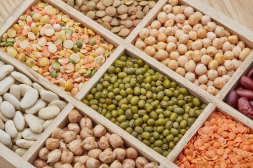 Different kinds of legumes.