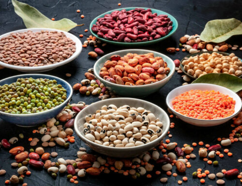 Bowls full of different legumes and beans.
