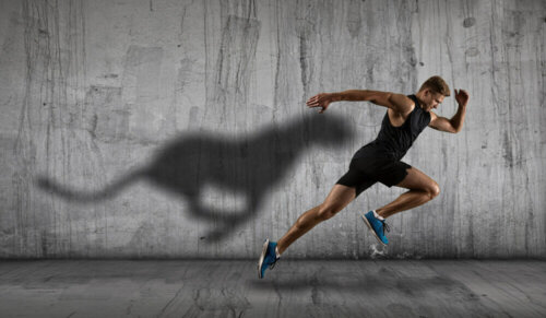 Keys to Speed Training