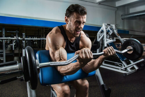 A man doing a scott bench biceps curl.