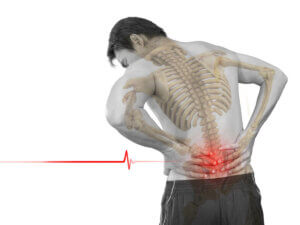 Anatomy of lumbar pain