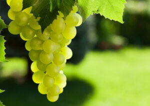 White grapes
